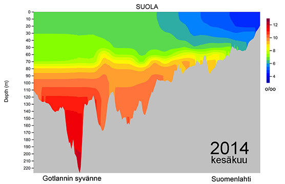 Suolaprofiili 2014